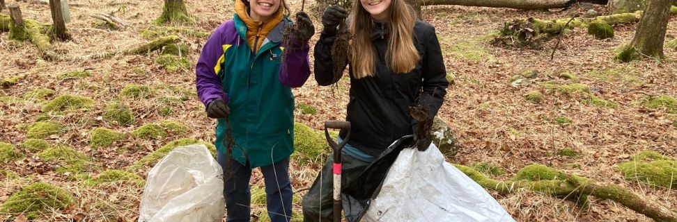 Volunteering at Hardknott Forest